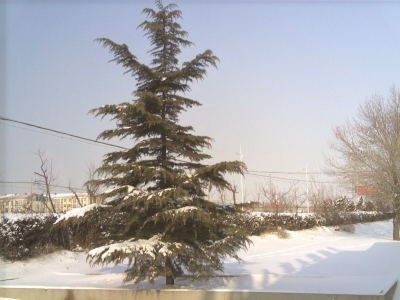 Foto_0009.jpg
