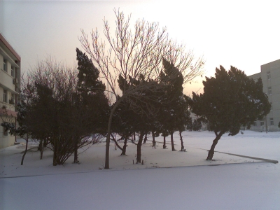 Foto_0001.jpg