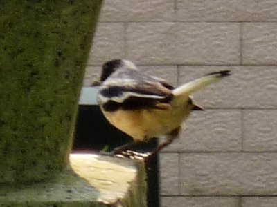 P1000517.JPG