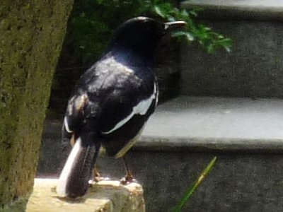 P1000518.JPG