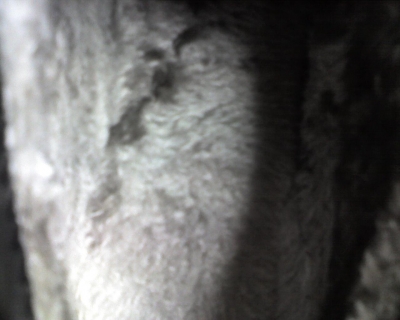 img049.jpg