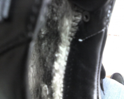img050.jpg
