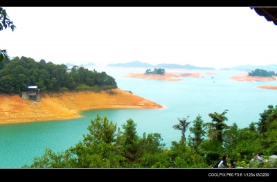 DSCN0989.jpg