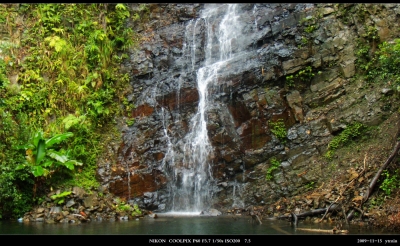 DSCN1157.jpg
