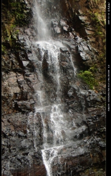 DSCN1169.jpg