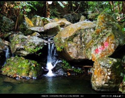 DSCN1178.jpg