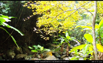 DSCN1127.jpg