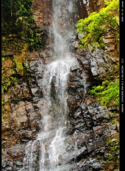 DSCN1155.jpg