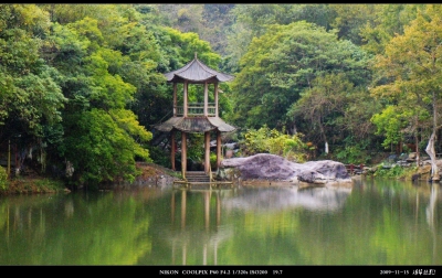 DSCN1186.jpg