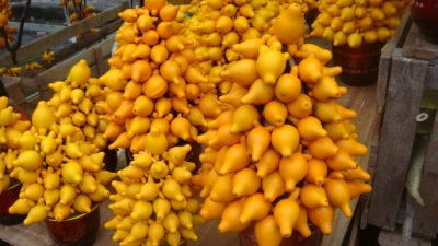 DSC01471.JPG