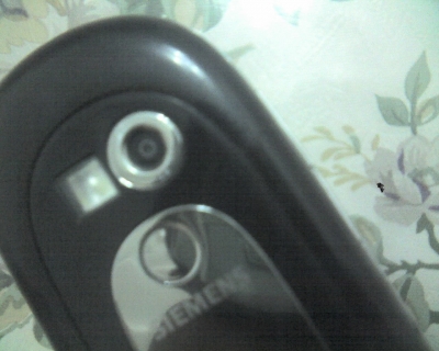 img005.jpg