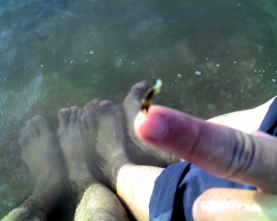 img026_05.JPG