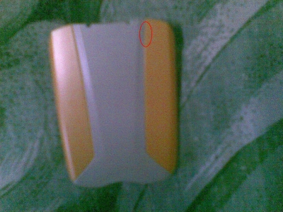 20100219(008).JPG