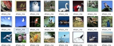 δ4.jpg