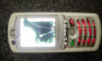 770V.jpg