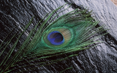 1920TimeBrand_2005.jpg