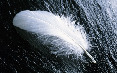 1920TimeBrand_2006.jpg
