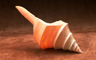 1920TimeBrand_2014.jpg