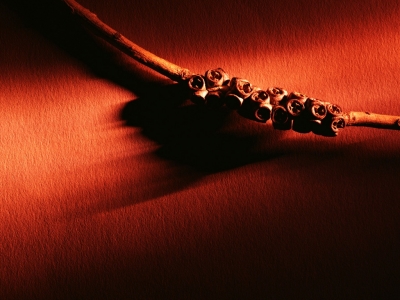 QNSW005.jpg