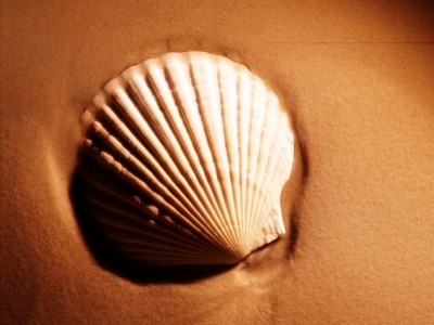 QNSW006.jpg