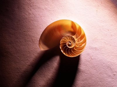 QNSW001.jpg