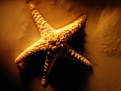 QNSW019.jpg