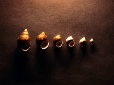QNSW020.jpg