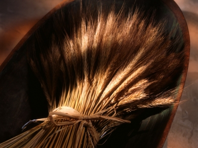 SJLY004.jpg