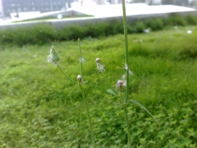 20100605615.jpg