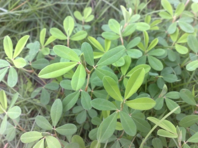 20100605625.jpg