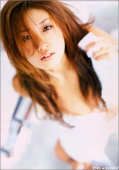 b_071335.jpg