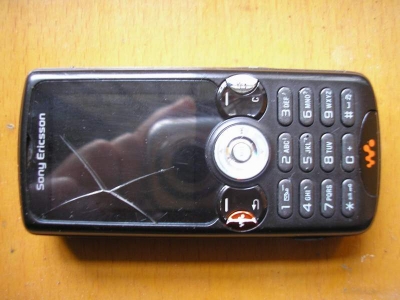 w810-1.JPG